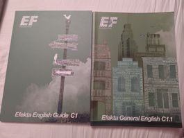 Efekta Général Englisch C1