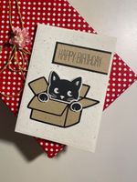 Happy Birthday Geburtstagskarte – Katze in Karton, handmade
