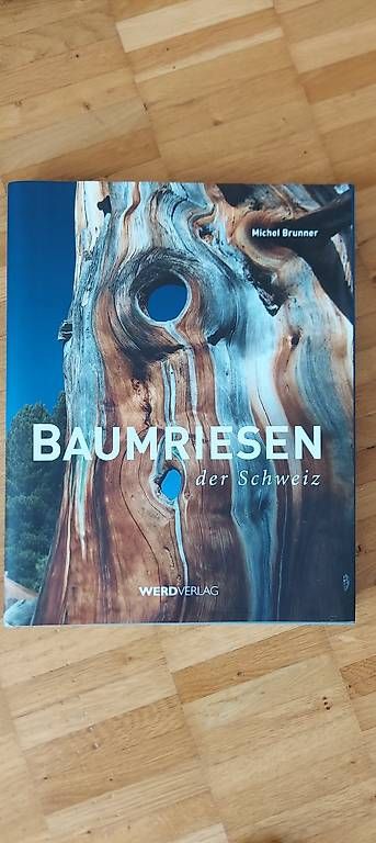 Libri: Baumriesen der Schweiz neuwertig – Usato da Fehraltorf venduto da rai66