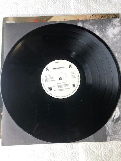 Dischi in vinile: The Bucks – Usato da Aarwangen venduto da Jukebox3 6