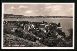 Berlingen a. Untersee, Panorama mit dem 