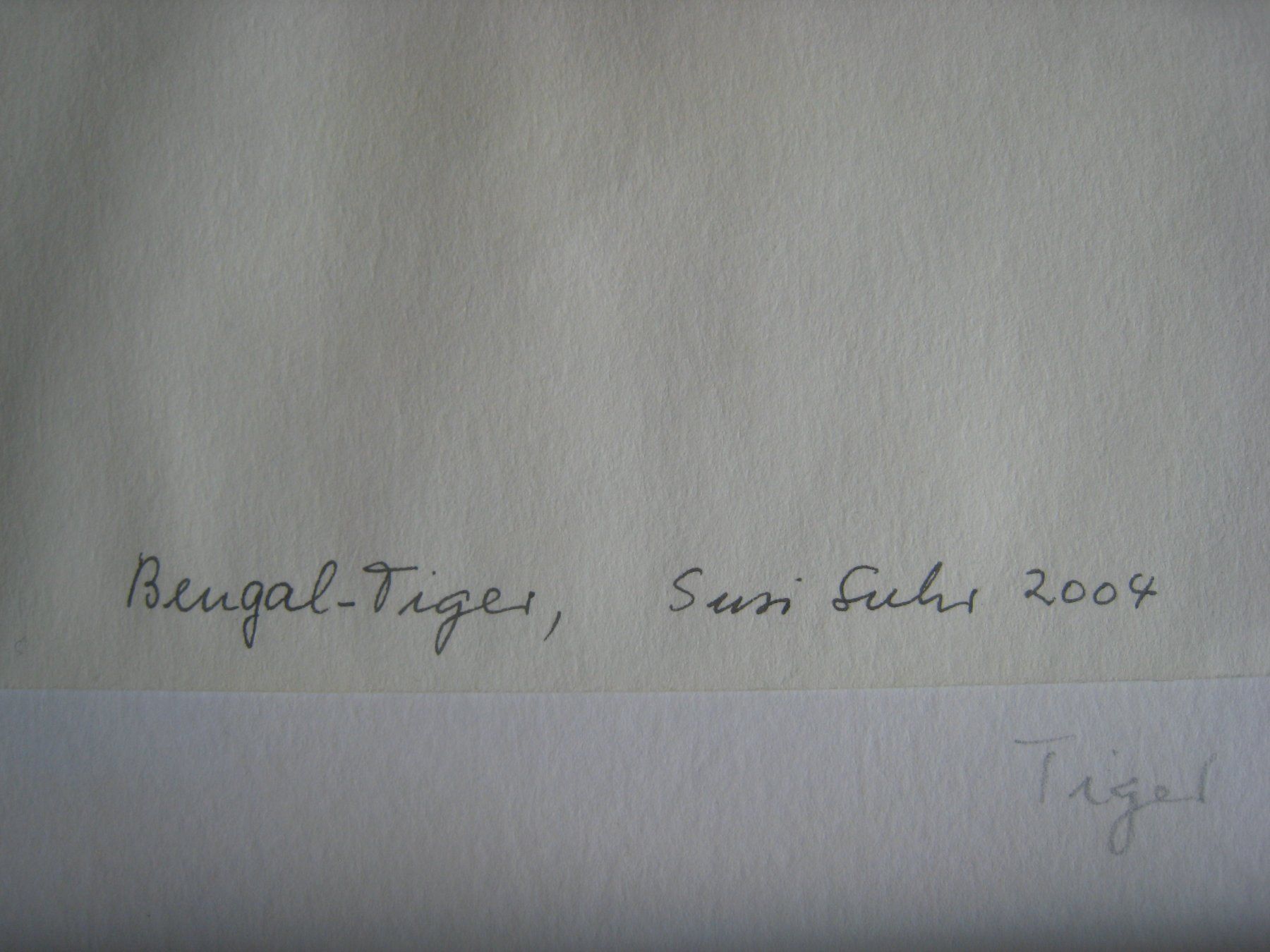 Dipinti: Zoo - Orig. Aquarell Bengal-Tiger – Usato da Pratteln venduto da Bluebird97 1