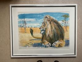 Lithographie von Fritz Hug, Löwe, schön gerahmt, 91 x 72 cm