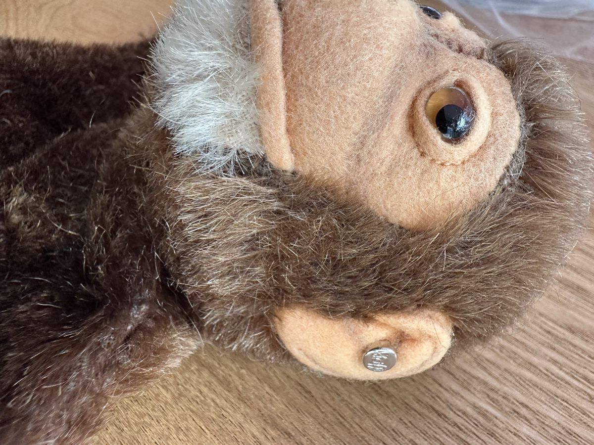 Steiff Giocattoli: Steiff Handpuppe 22 cm – Usato da Herbriggen venduto da Sehrazade 2