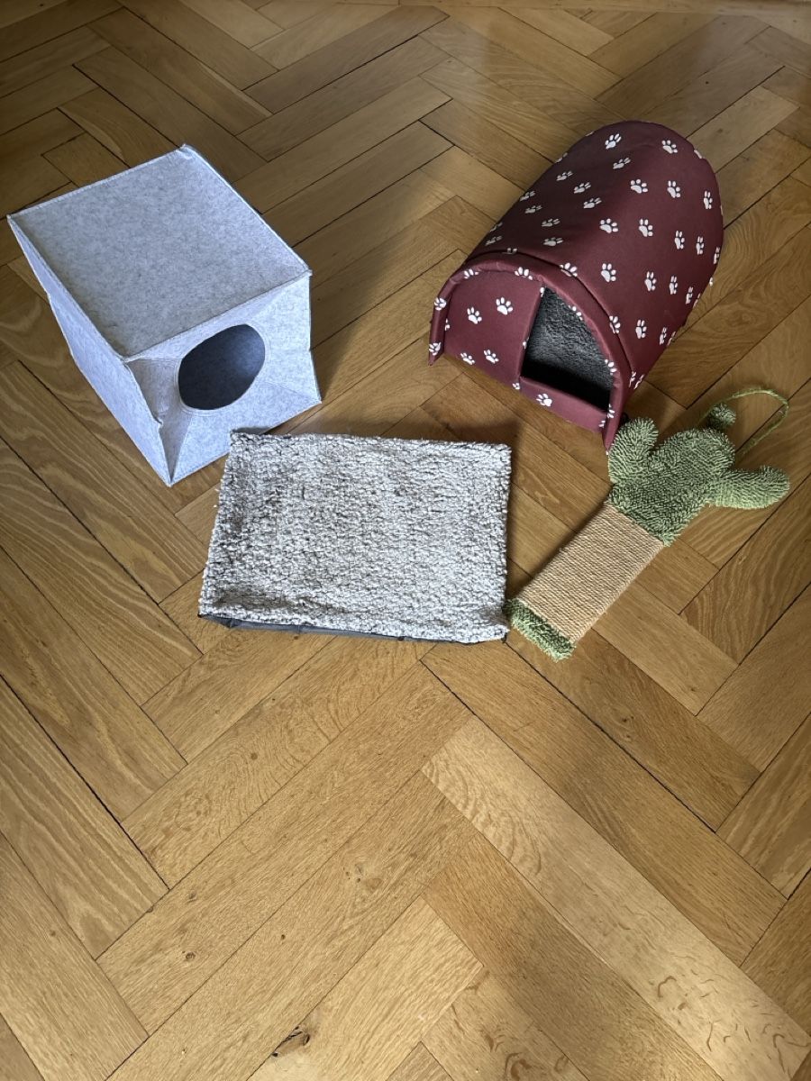 Liege- & Schlafplätze: Katzenzubehör – Gebraucht aus Bern von Innpic