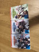 Aesthetica of a Rogue Hero - DVD Komplett