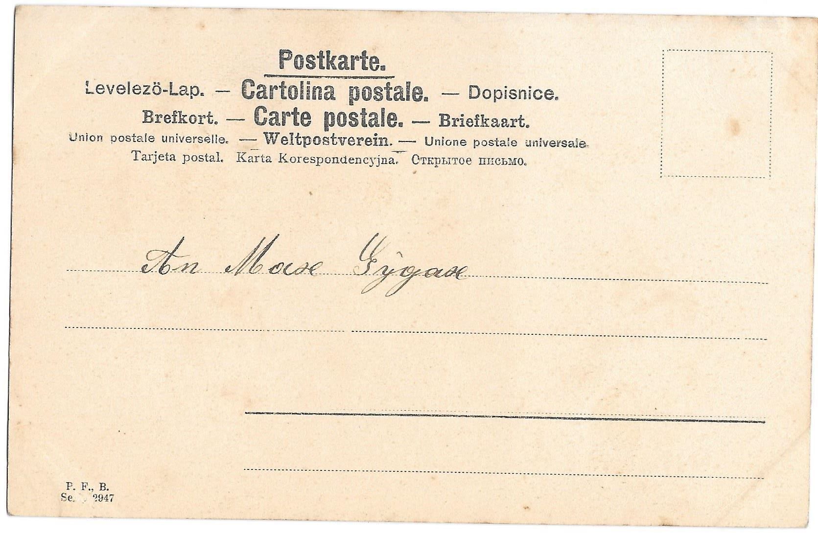 Cartoline postali: Storch mit Kleinkind – Usato da Olten venduto da clotaldi 1