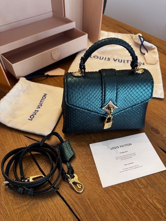 Louis Vuitton Rose Des Vents Mini