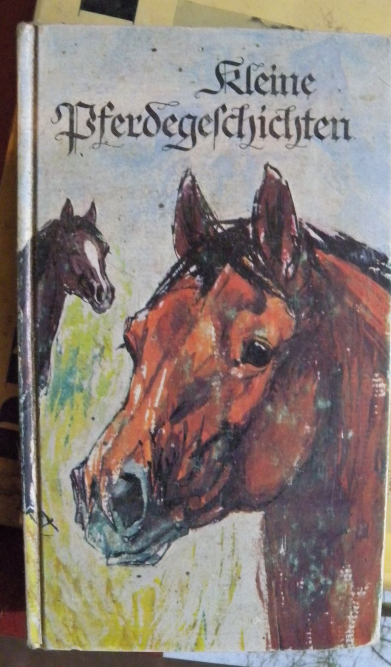 Libri: "Kleine Pferdegeschichten" – Usato da Hauenstein venduto da davia72