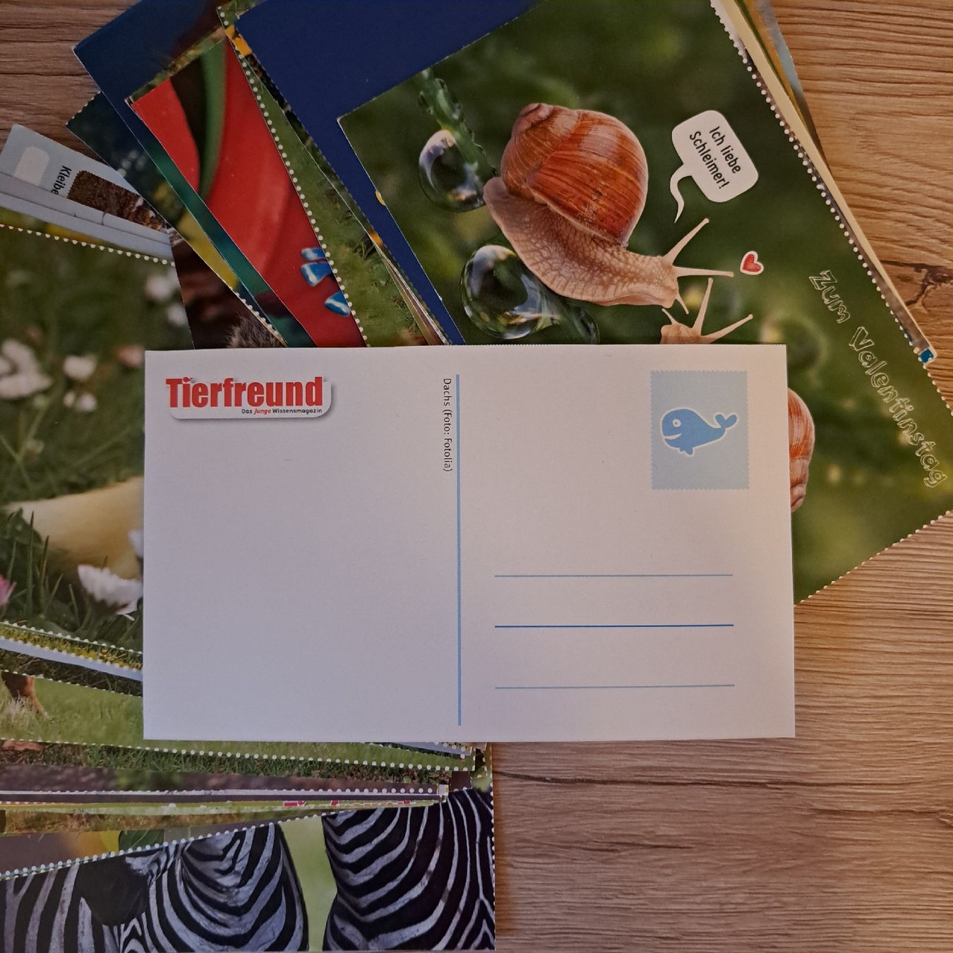Cartes: Postkarten – D'occasion à Schaffhausen par xJuliax 1