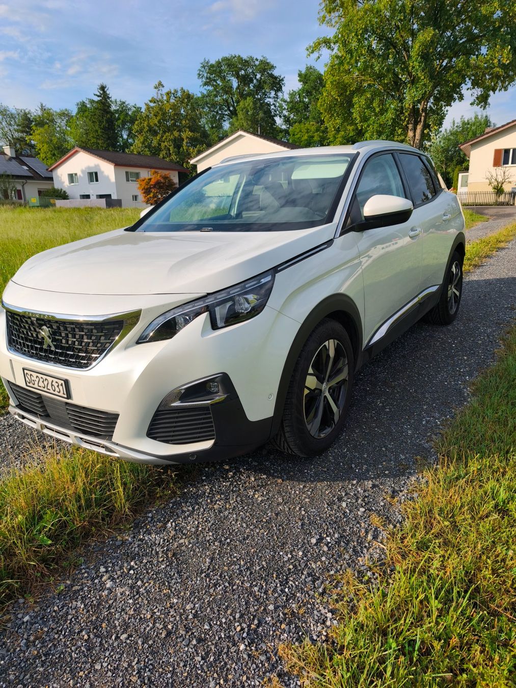 Peugeot Autos: Peugeot 3008 – D'occasion à Altstätten SG par Maryann2