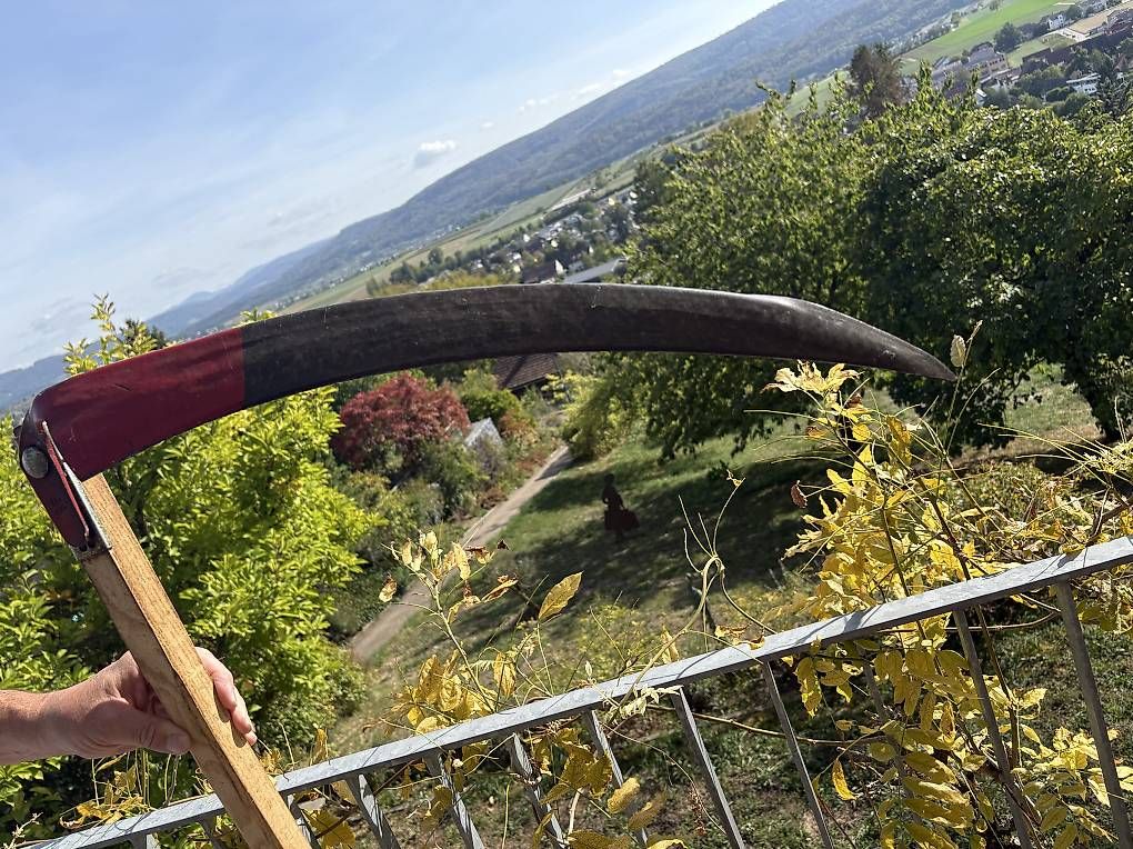 Tutti gli attrezzi: Sense – Usato da Biel-Benken BL venduto da AngiSchaefer 2