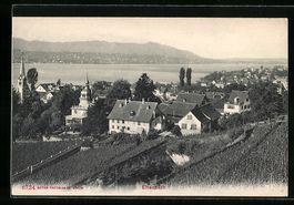 Erlenbach /ZH, Totale vom Berg aus geseh