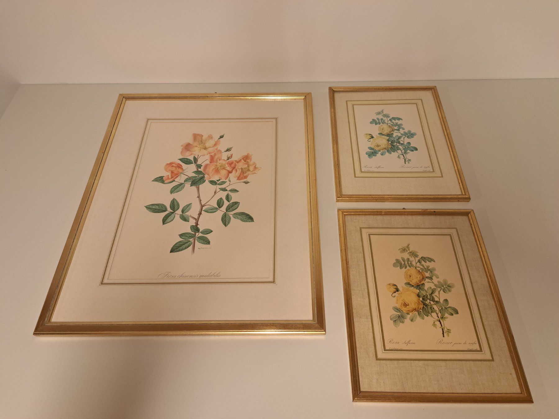Incisioni: 3x Stich Bild Litho/ Rosen – Usato da Belp venduto da deal-now