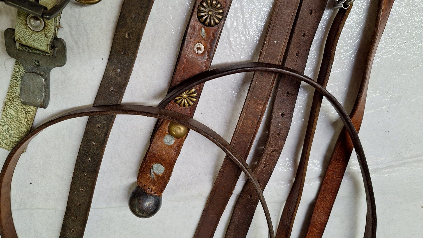 Attrezzatura da arrampicata: Diverse alte Leder -Riemen – Usato da Dornach venduto da majo8689 7
