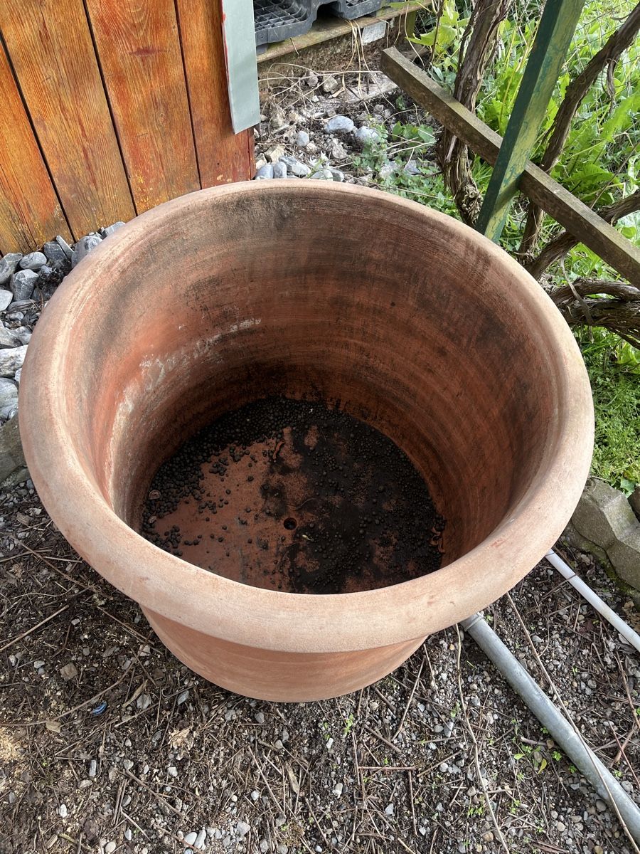 Vasi per fiori: Grosser Terrakotta Topf, Gartentopf – Usato da Altstätten SG venduto da Gogggi 3