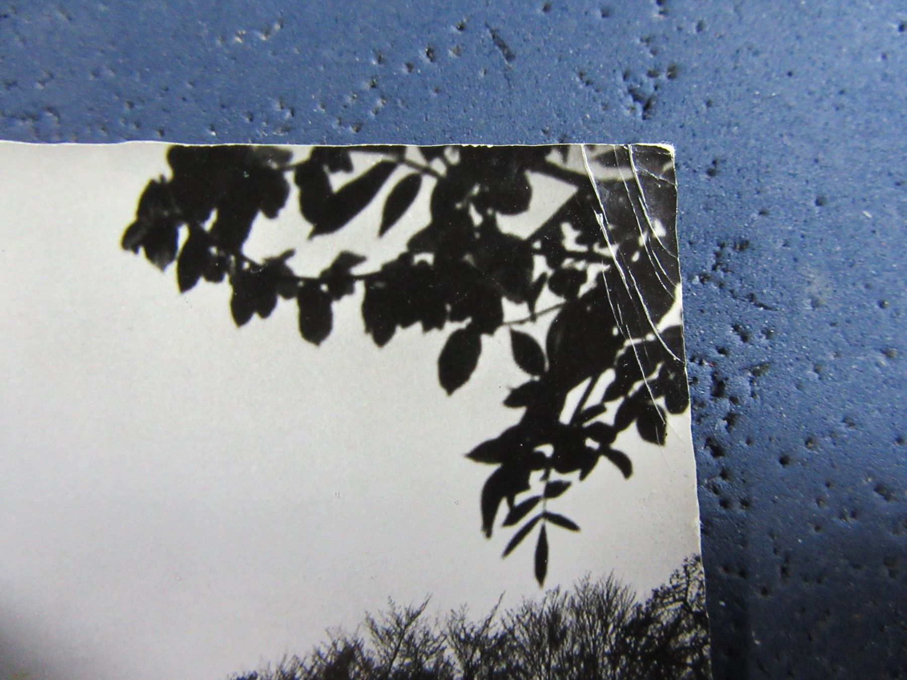 Cartoline postali: BOTTMINGEN BL AK 1959 BUG – Usato da Ettingen venduto da Hausi4711 1
