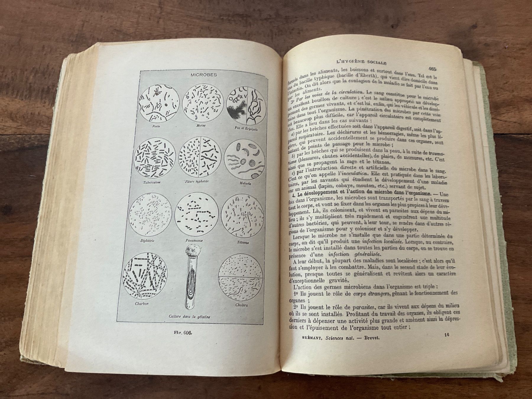 Libri: Sciences Naturelles du Brevet Élémentaire, Édition 1935 – Usato da Avenches venduto da Zurcal 5