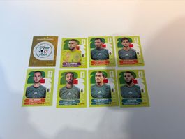 Panini Sticker WM 2026-Algerien (8Stück)