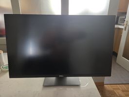Monitor Dell P2421D schwarz guter Zustand gebraucht