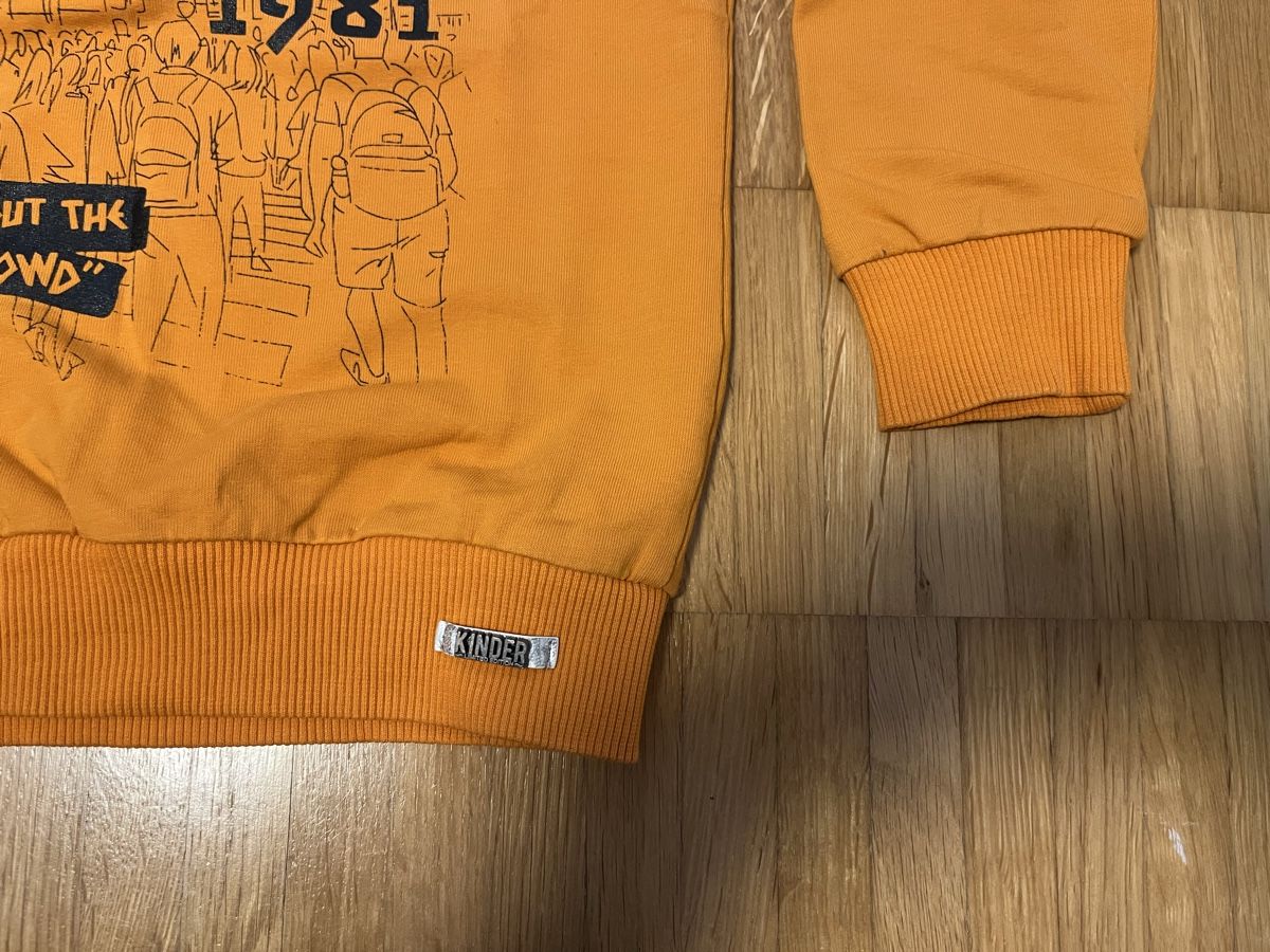 Maglioni & Felpe: Babypulli Gr. 98/104 – Usato da Jona venduto da Good_luck_ 3