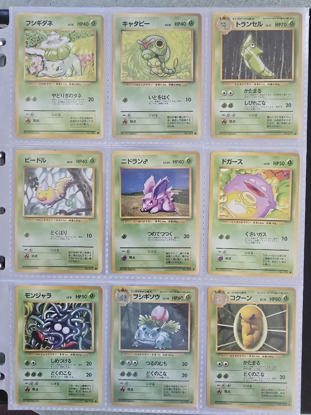 Pokémon Carte collezionabili: Pokemon set de base japonais expansion sheet complet  – Usato da Satigny venduto da Baazarbaron 7