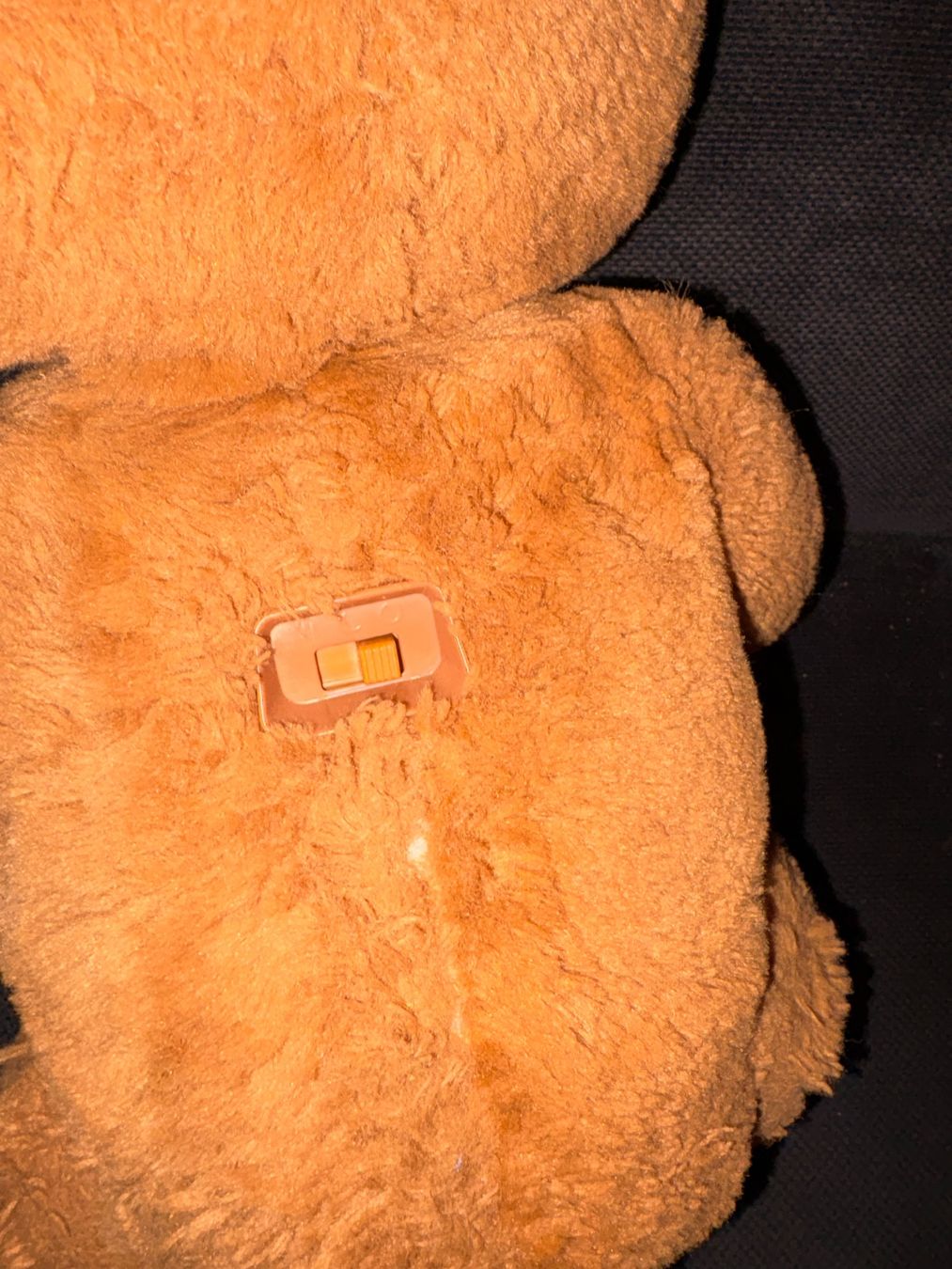 Giocattoli: Interaktiver Teddybär wo sich bewegt – Usato da Schübelbach venduto da S1CH 2