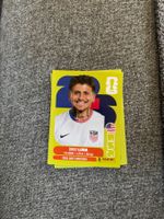 Panini Sticker USA 14, WM 2026