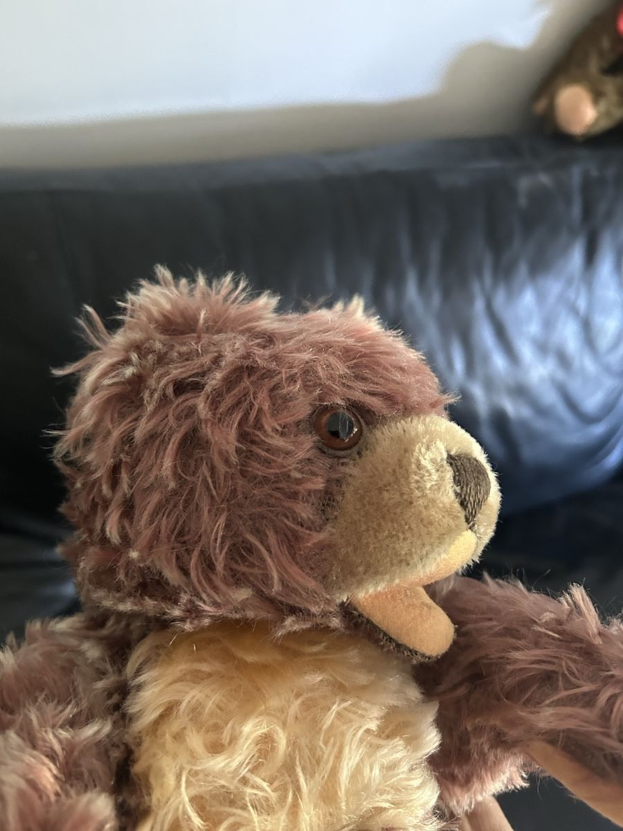 Steiff Giocattoli: Steiff Teddy Zotty – Usato da Bülach venduto da larson27 2