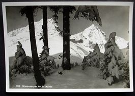 Wintermorgen bei ST. MORITZ Photo Albert Steiner, St. Moritz