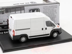 Dodge Modellini d'auto: Dodge RAM ProMaster 2500 Cargo seit 2013 – Nuovo e nell'imballaggio originale da Gerlafingen venduto da espero88 4