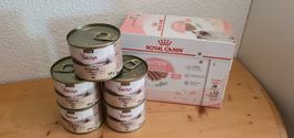 Katzen Nassfutter 2kg 20g Royal Canin & Purizon für Kitten