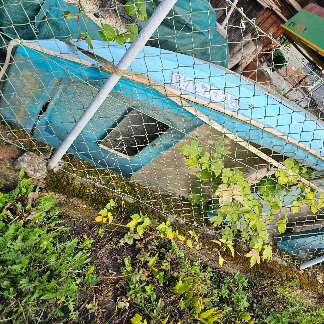 Flipper Barche: Altes Boot !!! AB 1 FR. !!! – Usato da Büren an der Aare venduto da Flipperfinger88 1