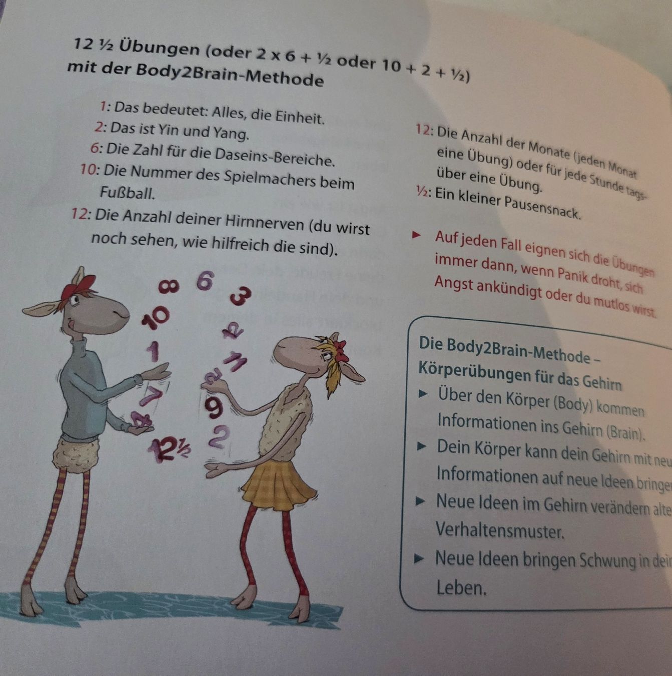 Libri: Buch Nur Mut – Usato da Wetzikon ZH venduto da strubeli444 2