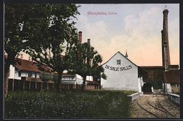 Rheinfelden, Saline, In Sale Salus, Zug 