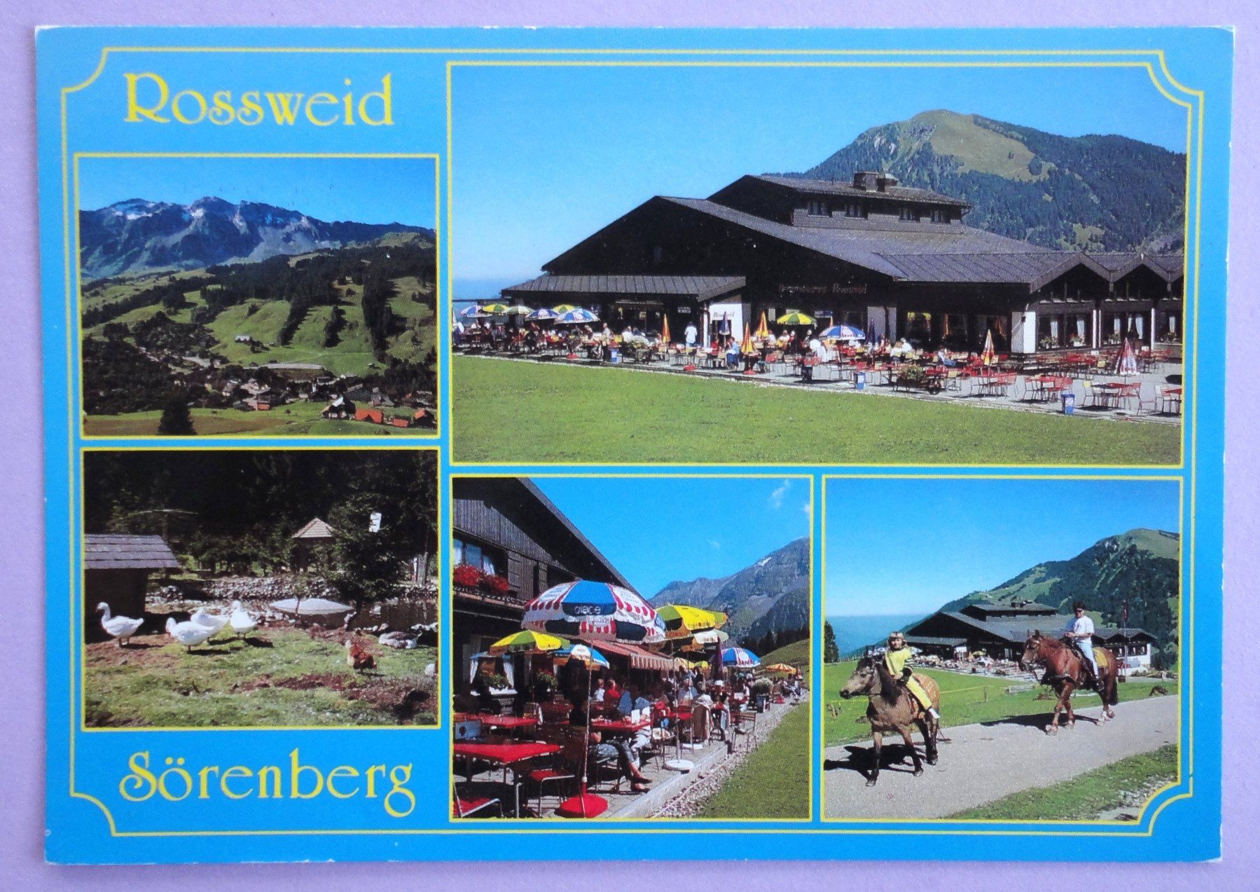 Cartoline postali: Bergrest. Rossweid, 1465 m, Sörenberg – Usato da Fétigny venduto da Billy2miny