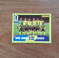 Panini SWE 13