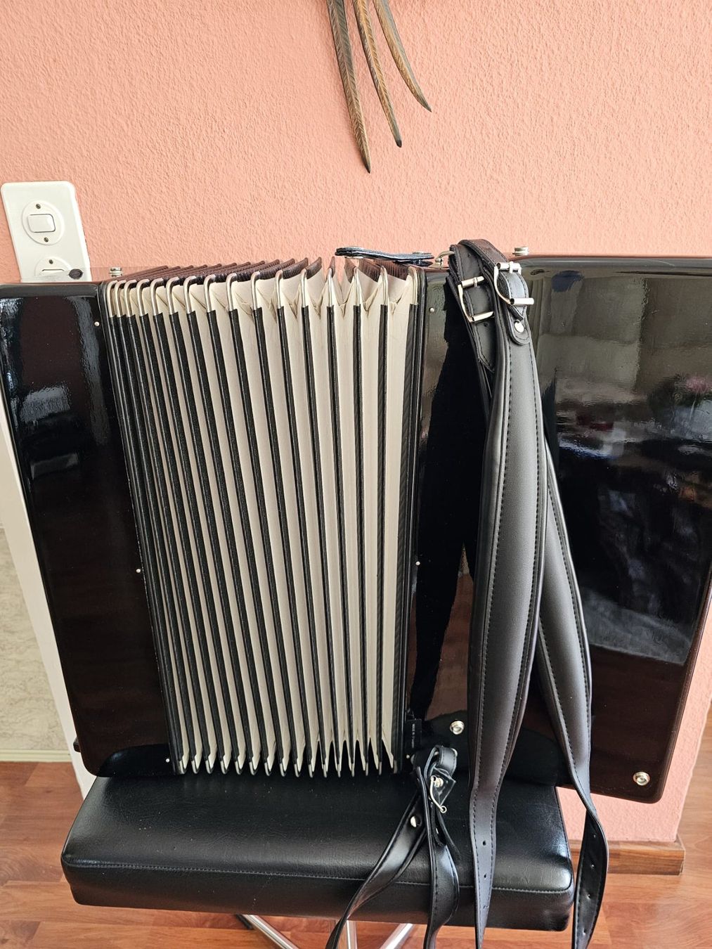 Strumenti musicali: Akkordeon – Usato da Luzern venduto da wildflower1 6