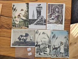6 uralte Storchen PK um 1900 für 9.--