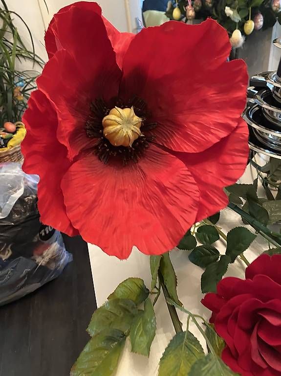 Vasi per fiori: Blumen – Usato da Zürich venduto da MAJAM65 3