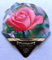 Série 72 (Attaches) - Roses  (40)