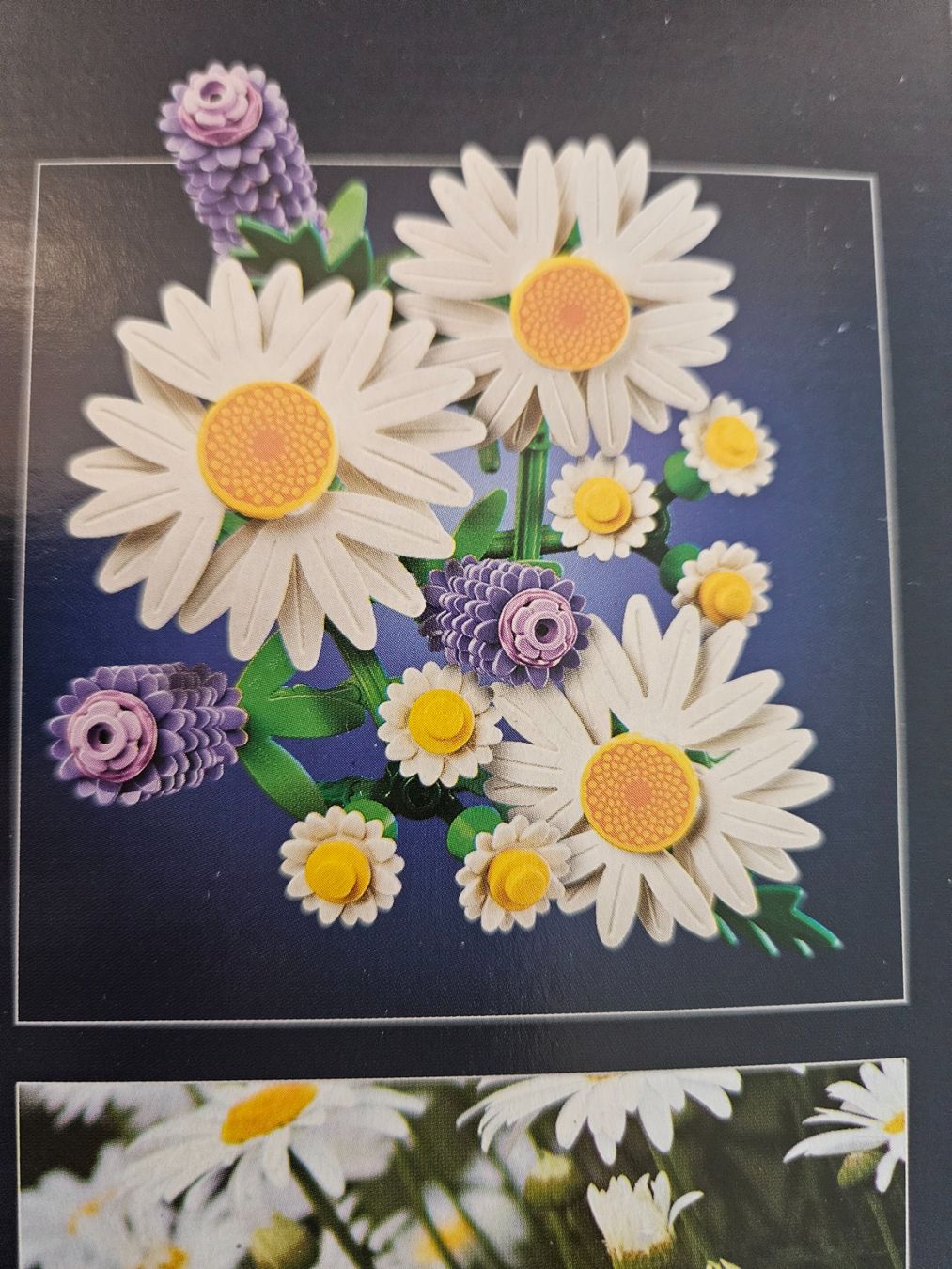 Lego Baukästen: Gänseblümchen – Neu & OVP – versiegelt – Neu und originalverpackt aus Chur von gutgutgut 4