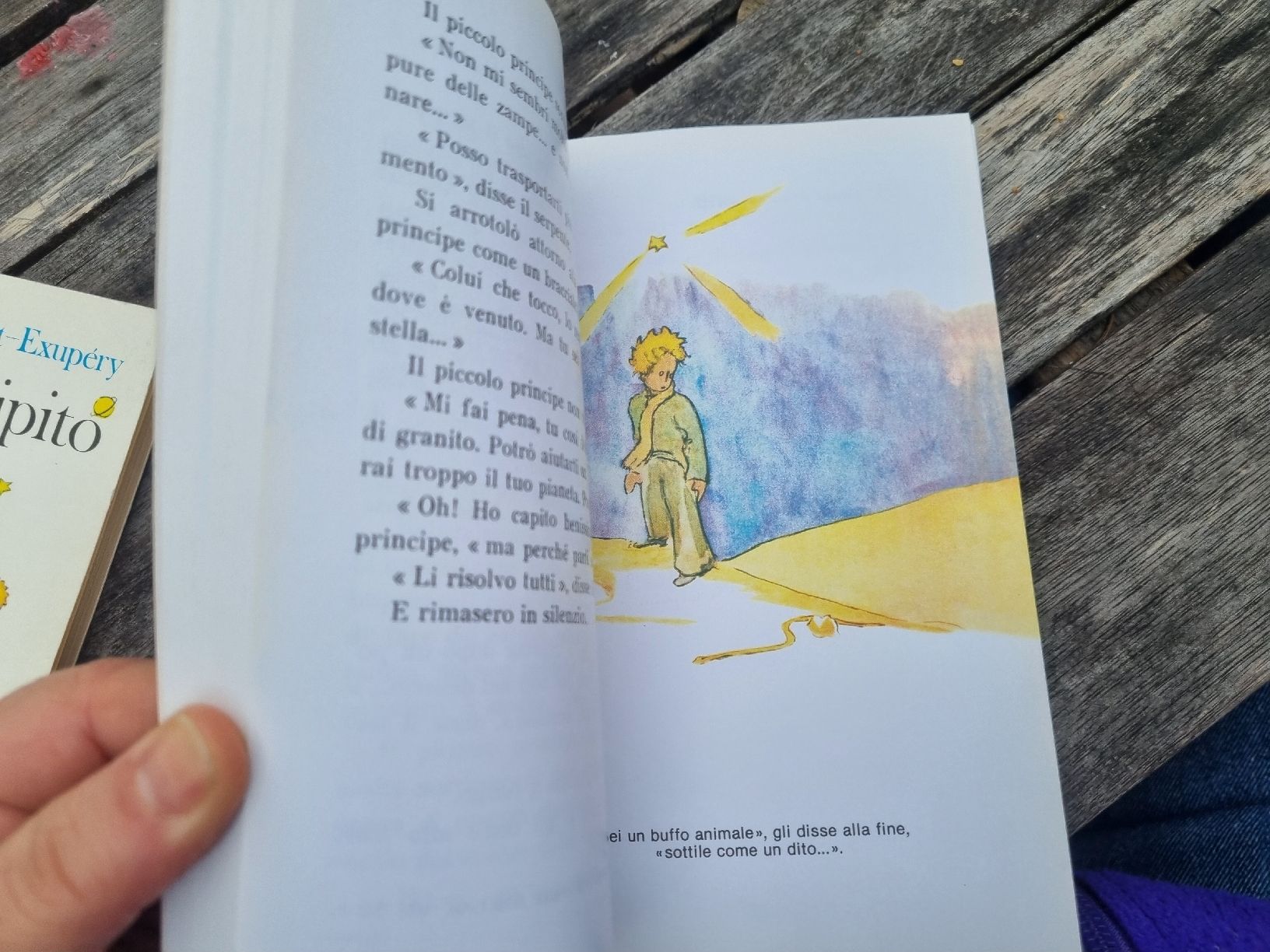 Libri: Il Piccolo Principe, Antoine de Saint-Exupé – Usato da Fribourg venduto da sal_5ln6 9