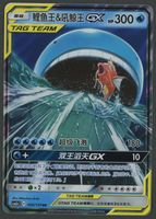 Magikarp & wailord GX RR Tag Team CH ab 1.-