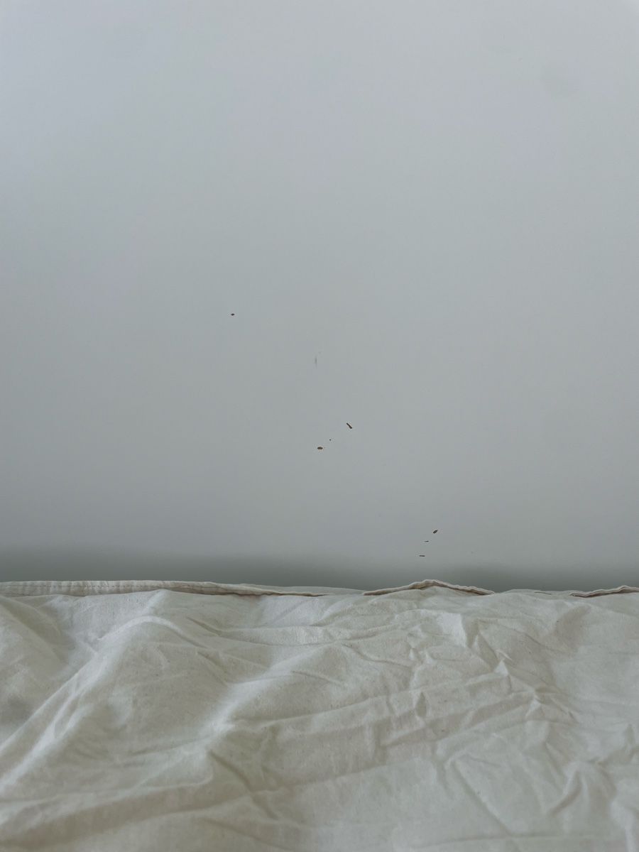 Betten: Ikea MALM - Bettgestell / Bed frame – Neu (gemäss Beschreibung) aus Zürich von mikosbartlomiej 2