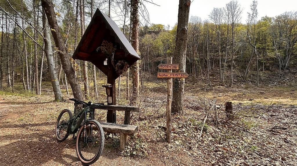Velos: Specialized Levo SL – Gebraucht aus Gamprin von Wulfmaan 2