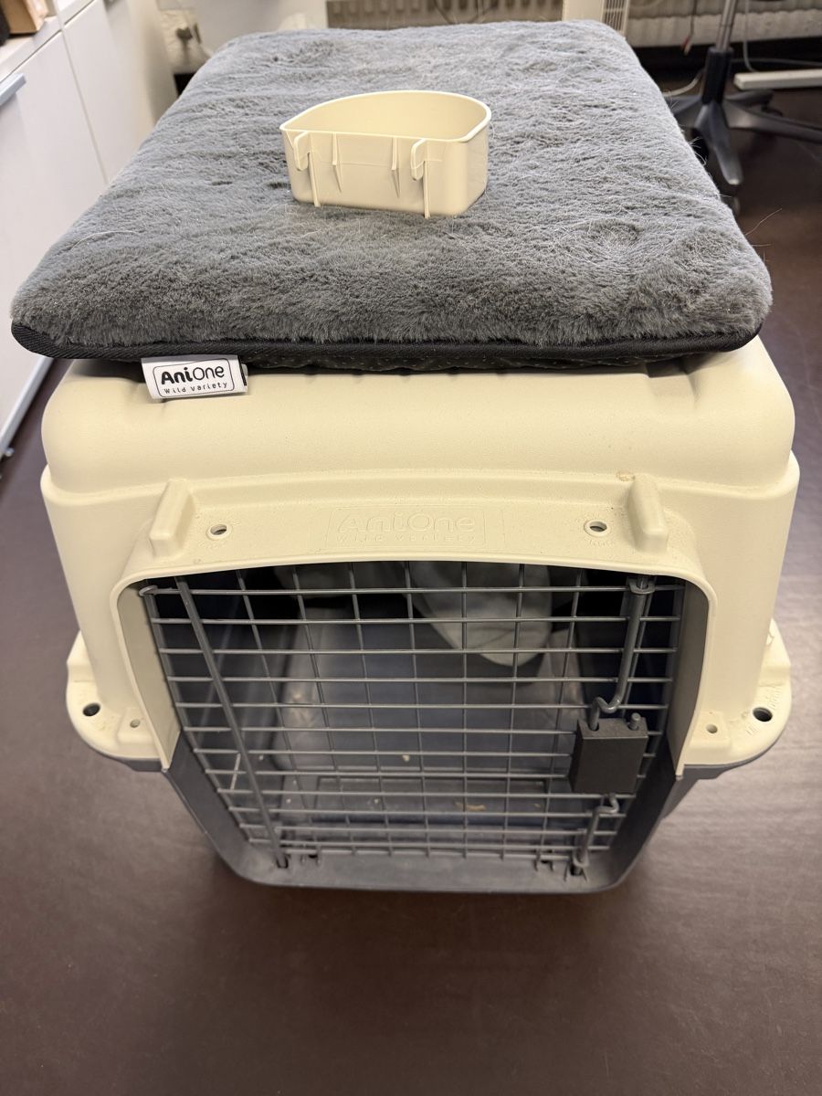 Gabbie, trasporto & Sicurezza: Hundebox von AniOne – Usato da Fällanden venduto da Lukas96 1