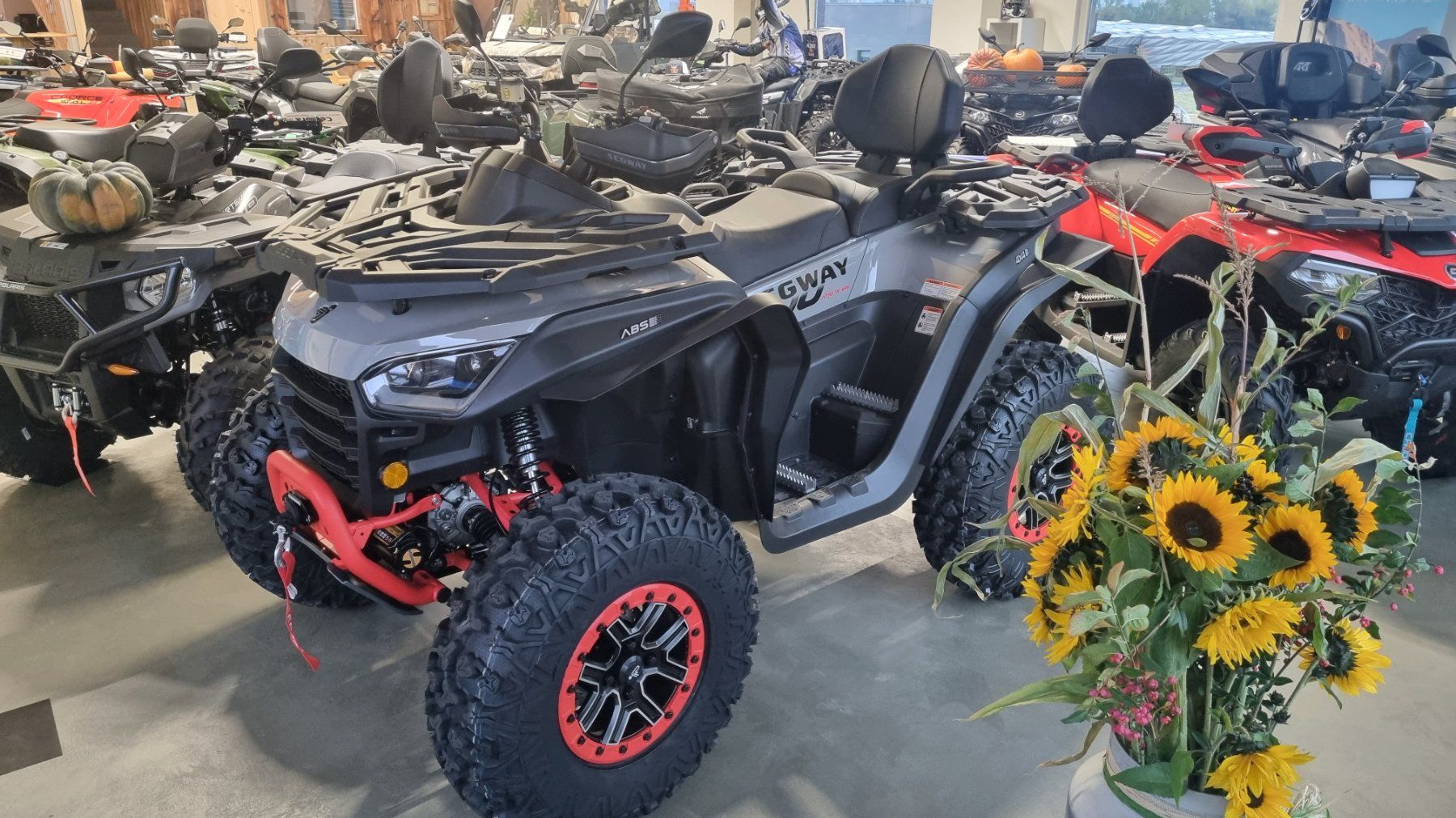 Segway ATV / Quad: AT 10 W – Nuovo (secondo la descrizione) da Trimmis venduto da 0004 8
