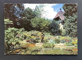 AK Aarau Kasinogarten