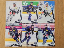 Sportzoo Saison 25/26 Basekarten HC Ambri Piotta